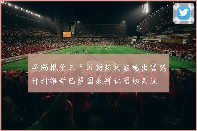 海鸥报价三千万镑热刺拒绝出售武什科维奇巴萨国米拜仁密切关注