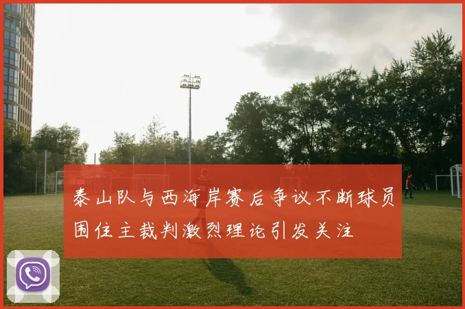 泰山队与西海岸赛后争议不断球员围住主裁判激烈理论引发关注